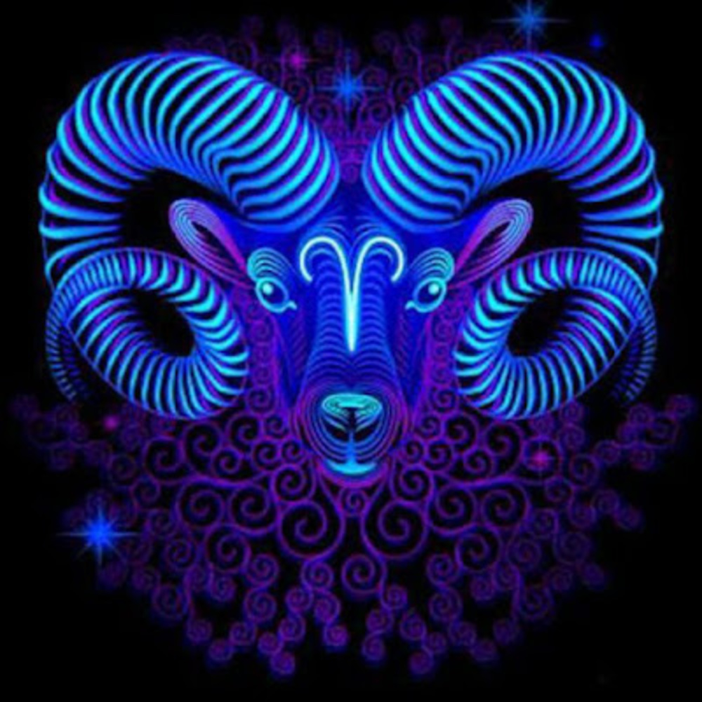 Meet your Posher, Aidan